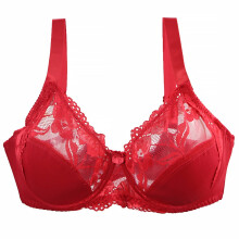 Women's Full Cup Lace Mesh Bra Unpadded, 36DD–46DDD