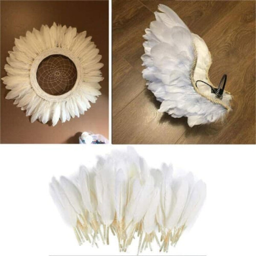 Goose feathers white black set 100 pcs 2