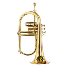 SOUND SAGA Flugel Horn 3 Valve BB Pitch Premium Brass Quality Includi