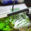 Aquarium Filter with Adjustable Flow Rate for 20-250L 2