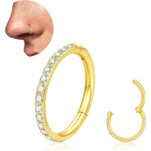 Anello per naso in titanio 20G/18G 6mm 8mm 10mm Argento Oro Zirconi cubici