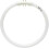 TL5C circular fluorescent lamp blue 22W 835 2