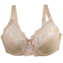 Women's Full Cup Lace Mesh Bra Unpadded, 36DD–46DDD