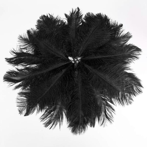 Ostrich Feathers Natural Black 25-30 cm 20 pcs 2
