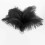 Ostrich Feathers Natural Black 25-30 cm 20 pcs 4