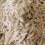 Cuttlefish Shells for Snails and Birds - Calcium Chew Toy, 5