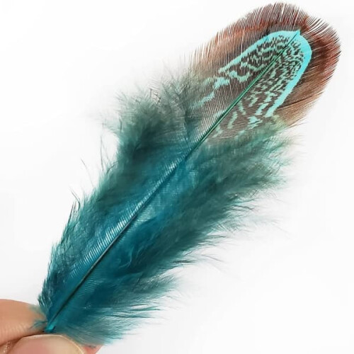 Pheasant feathers blue 100 pcs 2