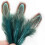 Pheasant feathers blue 100 pcs 5