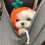 Jacenvly pet fleece winter clothes orange L 4
