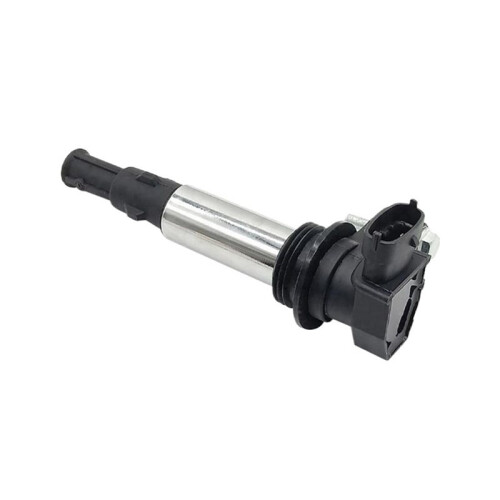Ignition Coil 0221604112 for 2