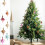 Bethlehem Star Christmas Ornament Plastic Orange 12 pcs 7