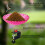 Hummingbird Bird Bath Bowl with Adjustable Base 7
