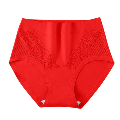 Women's High Waist Cotton Floral Briefs Full Coverage 2