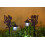 Luci decorative solari per esterni, 20 m 5