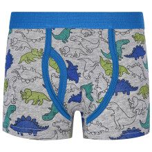Boy's Dinosaur Print Boxer Briefs Soft Fabric 3-Pack