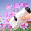 Handheld Microscope Scientific White Battery-Powered 1x 3