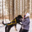 Dog Pulling Harness Adjustable for Large Breeds 7