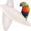 Cuttlefish Shell for Snails and Birds Calcium Chew Toy 10pcs 3
