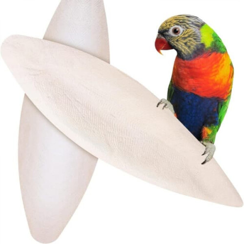 Cuttlefish Shell for Snails and Birds Calcium Chew Toy 10pcs 2