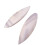 Cuttlefish Shell for Snails and Birds Calcium Chew Toy 10pcs 4