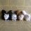 Simulation Cat Plush Toy Soft Stuffed Kitten A4 3