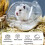 Visland hamster sand bath container 1 piece 7