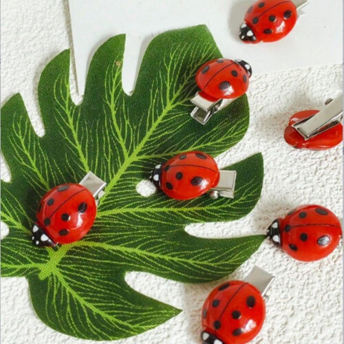 Κλιπ μαλλιών για παιδιά με σχέδιο εντόμων Ladybird 10 τεμάχια 2