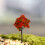 Artificial Tree Decor for Miniature Gardens 1 Pc 6
