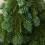 CISIL Desktop Christmas Tree Artificial Green with Wooden 4