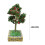 Miniature Trees Railroad Green Scenery Model 1 Pc 2