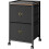 Mobile File Cabinet for Home Office 2-Drawer 1