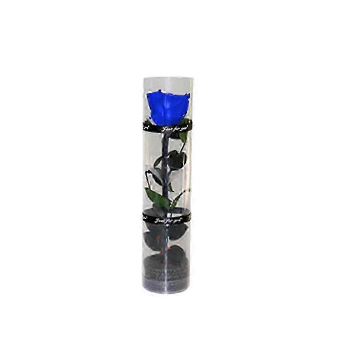 Rose éternelle préservée, véritable fleur éternelle dans un élégant coffret cadeau, fleur décorative longue durée pour