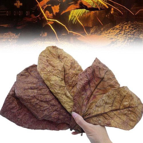 Fish Tank Elemi Leaf Decorative Element 1