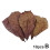 Fish Tank Elemi Leaf Natural Decorative Element 8