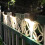Miuline LED Solar Path Light Brown 4 Pack 5