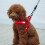 LED Dog Vest Harness Rechargeable Soft Adjustable Reflective 5