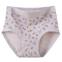 Women's Cotton Floral High Waist Briefs Stretchable Plus