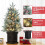 WhizMax small pre-lit Christmas tree 3ft with 78 LED lights 2