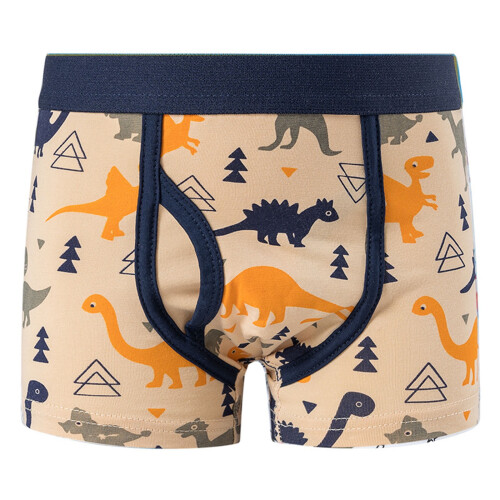 Boy's summer boxer briefs dinosaur print stretch