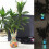 Duety solar glow rocks outdoor decor 100 pcs 7