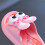 Kids flip flops pink open toe soft sole 6.5-7 years 7