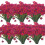 Τεχνητά Λουλούδια Morning Glory Rose Red24Bunds 1