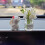 Mini auto vaasje, decoratief interieurornament (1 stuk) 5
