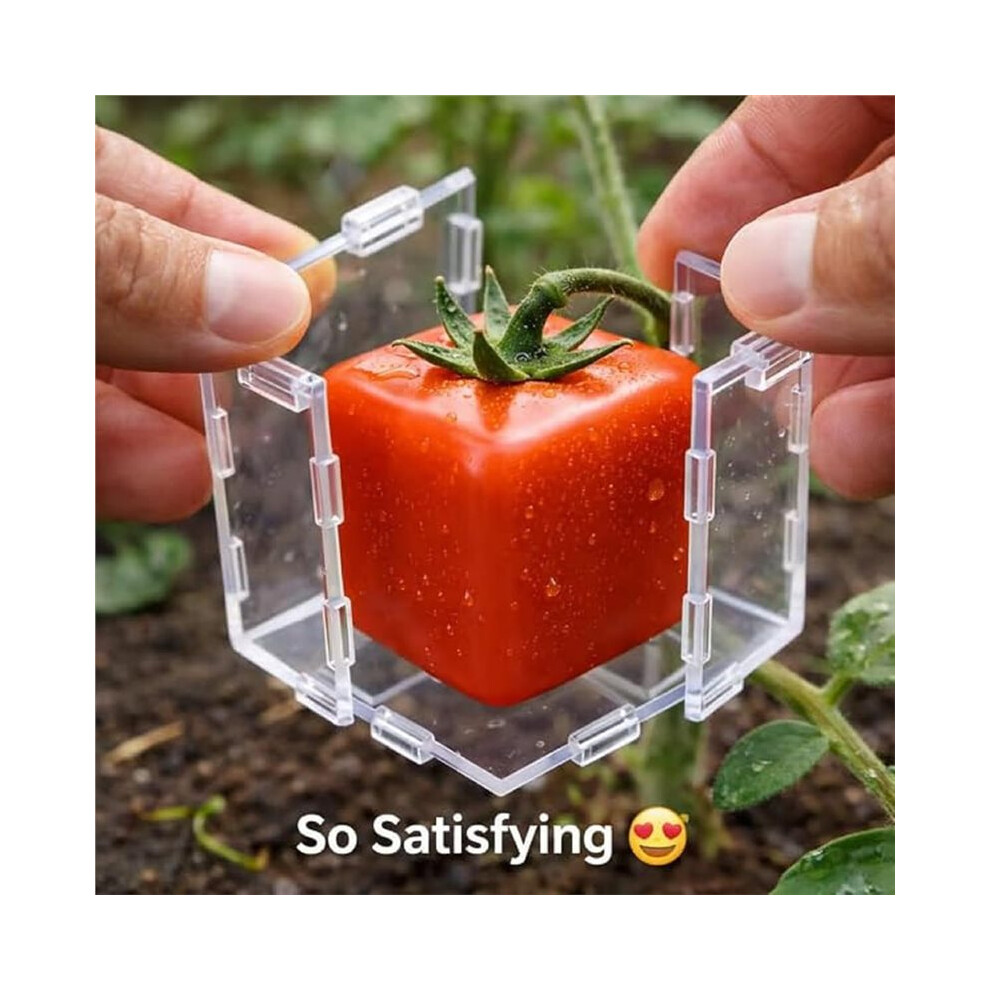 2Pcs Tomato Strawberry Mold Transparent Reusable Grow Sculpture Transparent Plastic Mold Sturdy Fruit Shaping 6032592261464