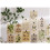 Vintage-Inspired Botanical Postcard Set 30 2
