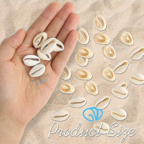 Natural Spiral Shell Beads Open Back Oval 120 pcs 1