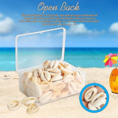 Natural Spiral Shell Beads Open Back Oval 120 pcs 2