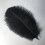 Ostrich Feathers Black 6-8 inches 10-Pack 2