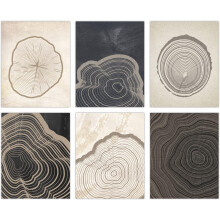 Ensemble de 6 toiles abstraites représentant les anneaux d'un arbre, minimalistes et sans cadre.