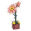 Kit de rompecabezas de flores de madera 3D para decoración del hogar 1